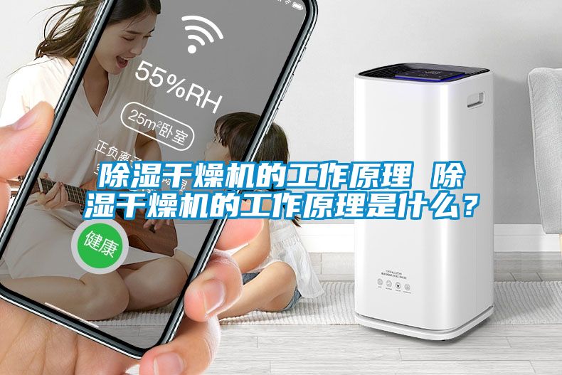 除濕干燥機(jī)的工作原理 除濕干燥機(jī)的工作原理是什么?