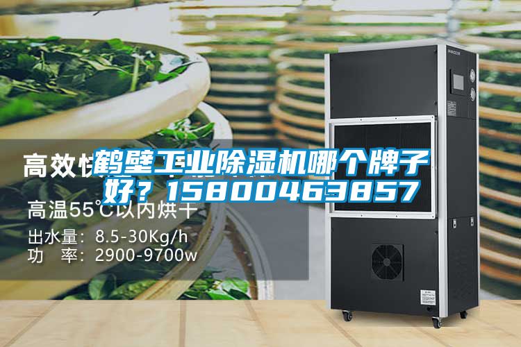 鶴壁工業除濕機哪個牌子好?15800463857