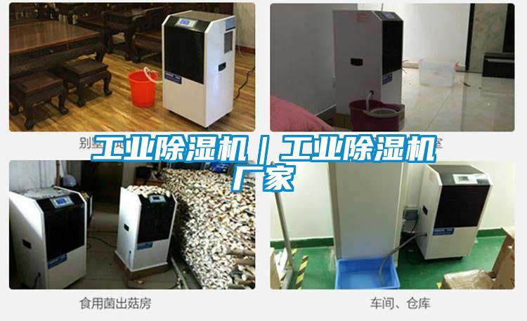 工業除濕機|工業除濕機廠家