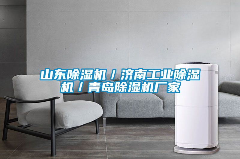 山東除濕機/濟南工業除濕機/青島除濕機廠家
