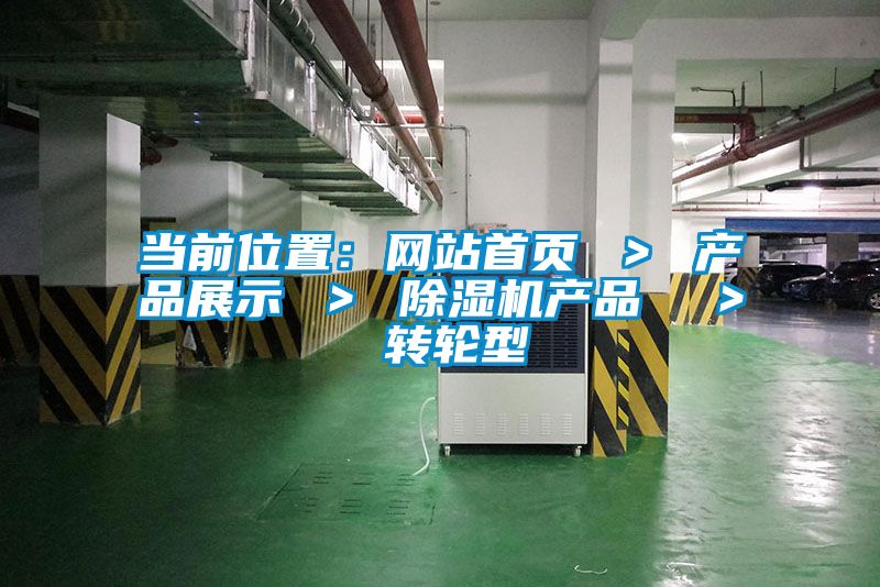 當前位置:網站首頁 > 產品展示 > 除濕機產品  > 轉輪型