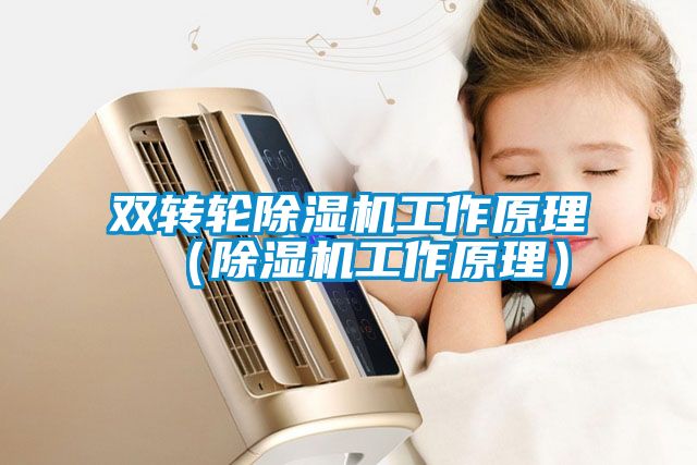 雙轉輪除濕機工作原理(除濕機工作原理)