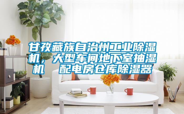 甘孜藏族自治州工業除濕機,大型車間地下室抽濕機  配電房倉庫除濕器