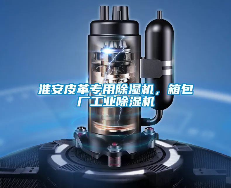 淮安皮革專用除濕機,箱包廠工業(yè)除濕機