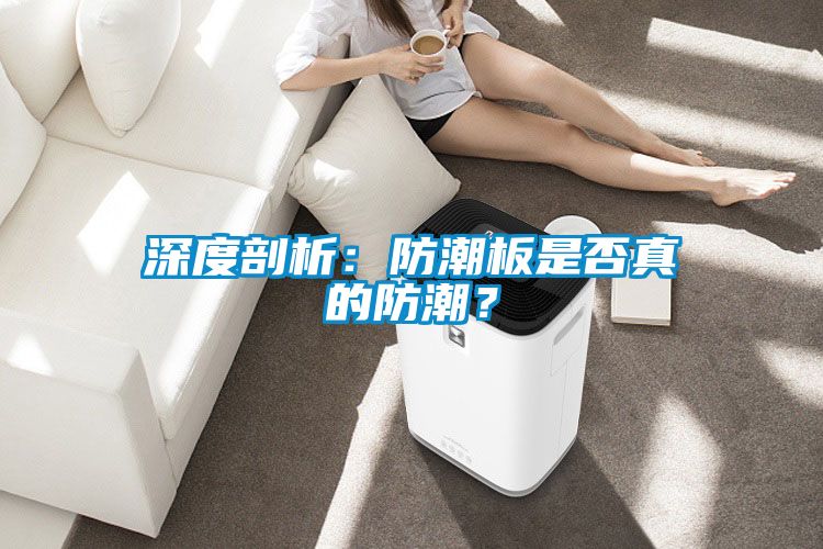 深度剖析:防潮板是否真的防潮?
