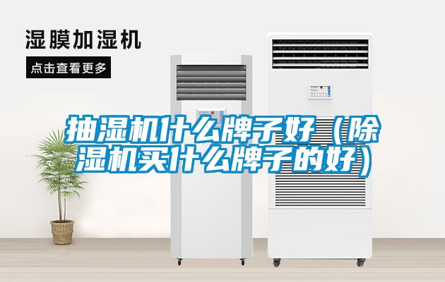 抽濕機什么牌子好(除濕機買什么牌子的好)