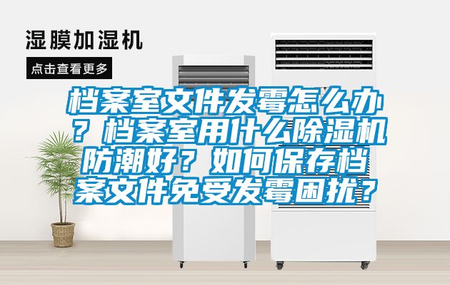 檔案室文件發(fā)霉怎么辦?檔案室用什么除濕機(jī)防潮好?如何保存檔案文件免受發(fā)霉困擾?