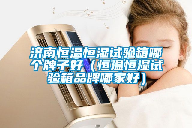 濟(jì)南恒溫恒濕試驗(yàn)箱哪個(gè)牌子好(恒溫恒濕試驗(yàn)箱品牌哪家好)