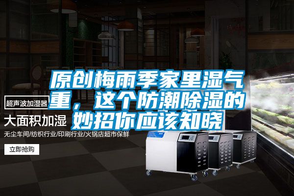 原創梅雨季家里濕氣重，這個防潮除濕的妙招你應該知曉