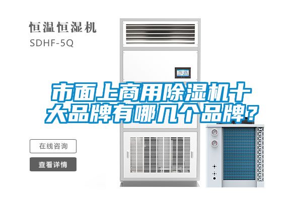 市面上商用除濕機十大品牌有哪幾個品牌?