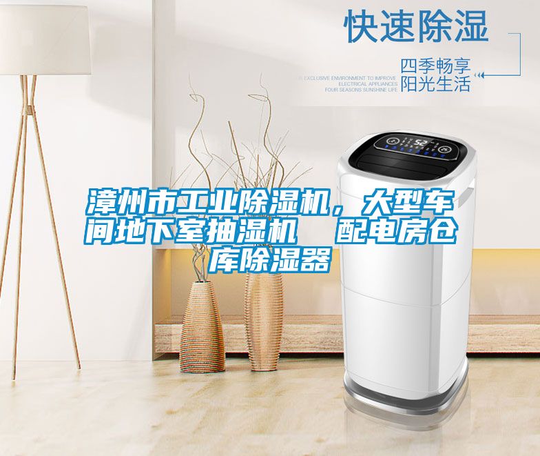 漳州市工業除濕機,大型車間地下室抽濕機  配電房倉庫除濕器