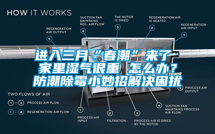 進入三月“春潮”來了 家里濕氣很重 怎么辦?防潮除霉小妙招解決困擾