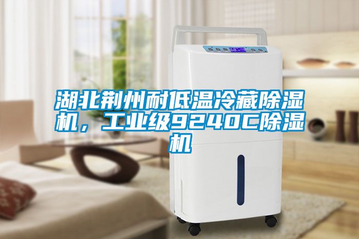 湖北荊州耐低溫冷藏除濕機,工業級9240C除濕機