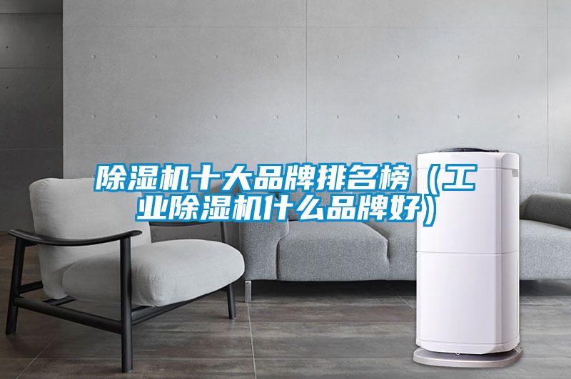 除濕機十大品牌排名榜(工業(yè)除濕機什么品牌好)