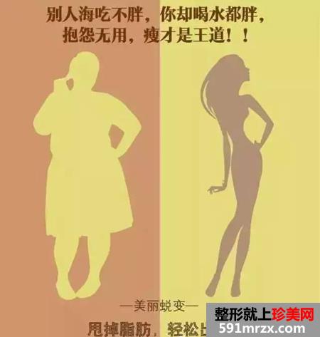 �Ϻ���Ժ���οƻ������(xi��ng)Ŀ�r(ji��)���