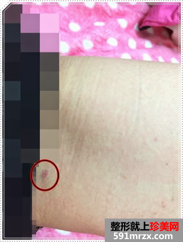 �B�T,174����,�t(y��)Ժ,���w֬��,�S��,����