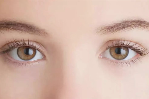 ���p��Ƥ����o��