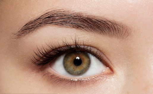 ȫ���p��Ƥ17��֬�������ô�k