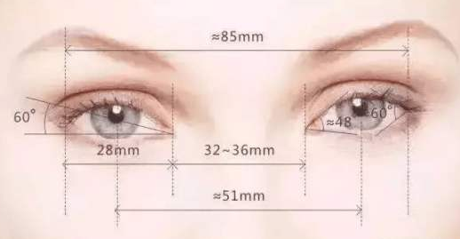 �����̋��ܲ��ܸ��p��Ƥ