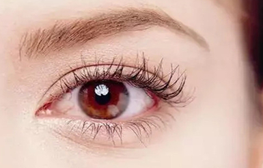 ���p��Ƥ����ԺȻ��z�u