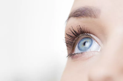 �p��Ƥ���g�������֙C��