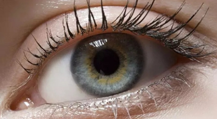 ����ȫ���p��Ƥ���Գ��u�͆�