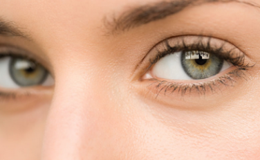 �����p��Ƥ�ܳ��͗l��