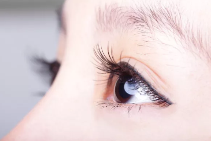 ����p��Ƥ�����L�˂���ɫ���w��