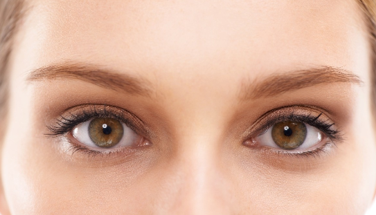 ���p��Ƥ��Ѫ�z���Ď��