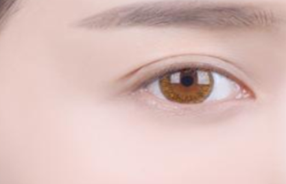 ���p��Ƥ����ιĸ����