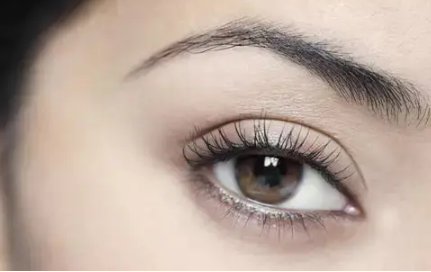 �p��Ƥ�^���^��Mȥ�����ޏ͆�