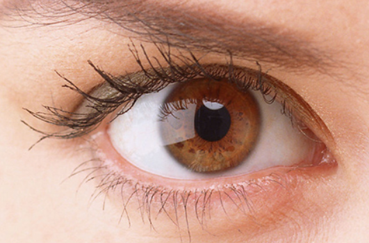 �p��Ƥ���׺��ױ��^��