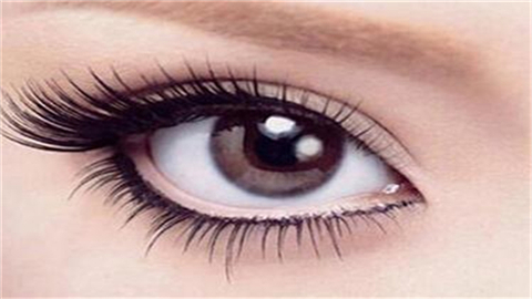 ���p��Ƥ���g����l����ô�γɵ�