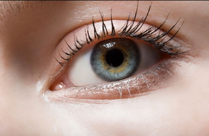 ��Ƥ�ɳڿ������񾀆�