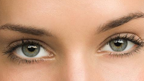 ���p��Ƥ���������