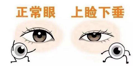 ��Ƥ�ɳ���ô�o��