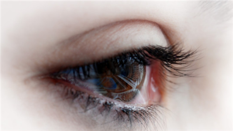 ��ʮ�q߀�����p��Ƥ��