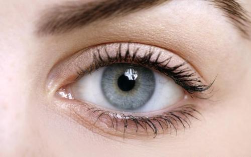 ��p��Ƥ�����X��