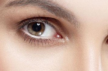 �p��Ƥ�ޏ��������