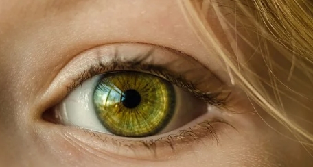 �p��Ƥ��l��ô��