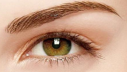 �p��Ƥ�ޏͺ�ע�����