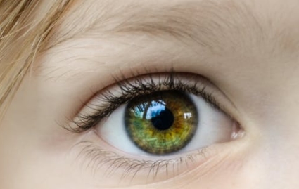 ���p��Ƥ���g�Л]��Σ��