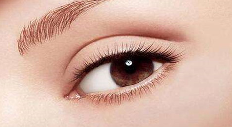 ���p��Ƥ���g���������[