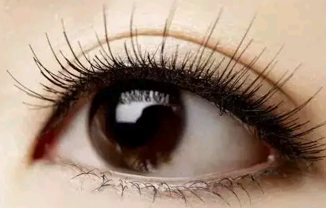 ���Ӳ���׌���p׃�����p