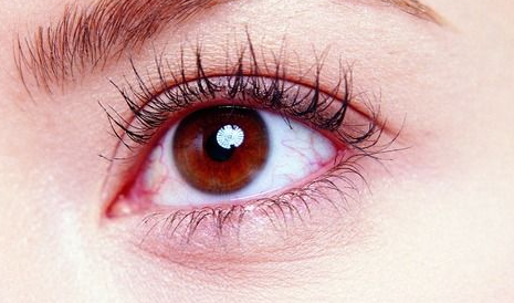 ���p���׃�����p