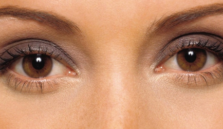 ���p��Ƥ��̎�͉�̎����Щ