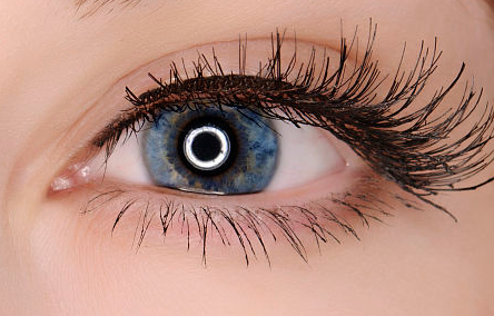 �����p��Ƥ���L�r�g�֏�