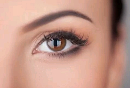 �۴��г�����֏�