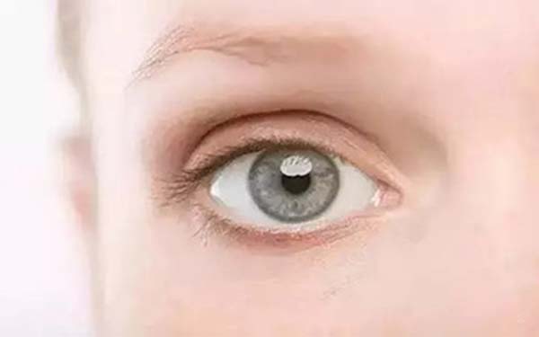 �۴������g�ێ���
