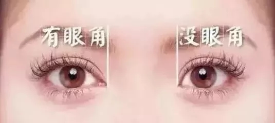 ��ֹ�̺��������@Щ�ゃ֪���᣿